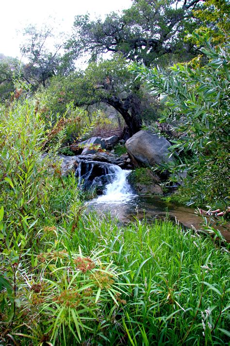 Fallbrook Ca Fallbrook California San Diego County Garden Bridge