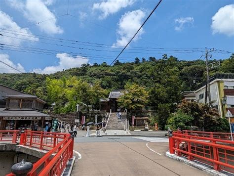 いいお天気になってきました。 伊豆修善寺温泉 登録有形文化財 新井旅館 ブログ 「あらゐ日記」