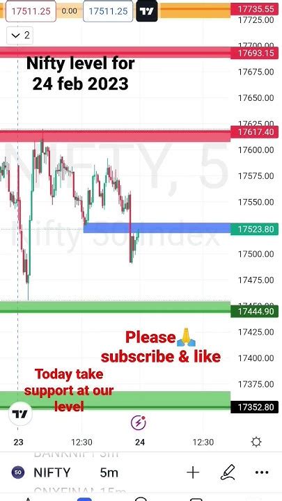 Nifty 24 Feb 2023 Nifty Level Pre Market Analysis Intraday Option