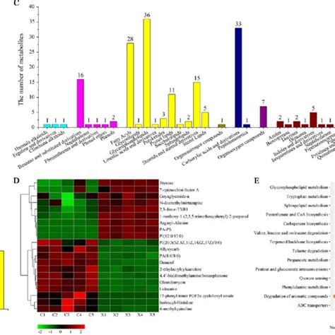 Untargeted Metabolomic Analysis Of The Metabolite Profile Of X