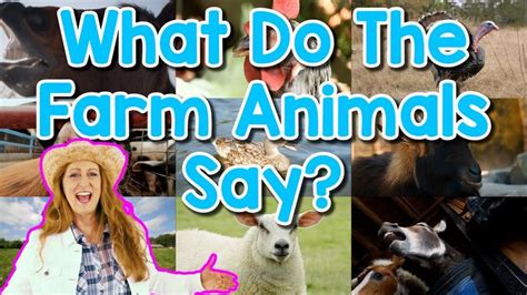 Farm Animal Sounds Song| Learn English Farm Animal Names | Farm Animal ...