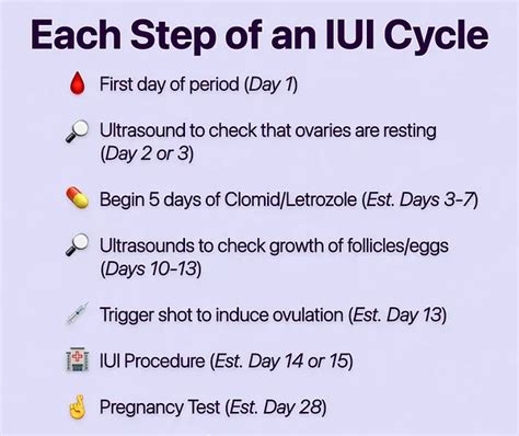 Ivf The Best Fertility Doctors And Surgeons In Iran Accommodation