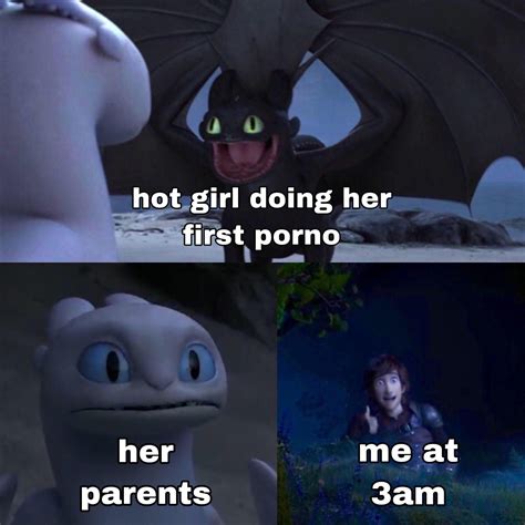 29 Funny Toothless Memes Thatll Help You Train Your Dragon Funny