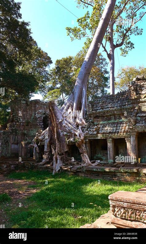 Ancient Of Prasat Preah Khan Temple At Angkor Wat Complex Angkor Wat