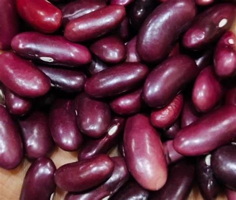 Red Rajma Lal High In Protein Packaging Size Kg At Rs Kg In