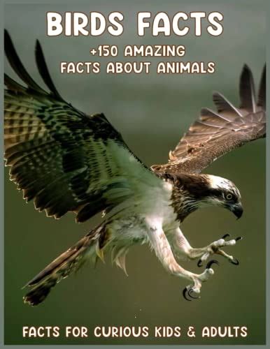 Birds Facts: Fascinating Animal Facts for Kids by publisher adam ...