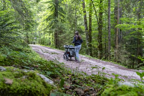 Wanderung Um Den Vorderen Gosausee Rauf Und Davon