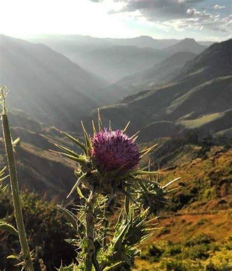 Si No Escalas La Monta A Jamas Podr S Disfrutar Del Paisaje Blog