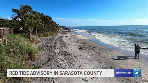 Red tide warnings issued for Sarasota, Manatee counties | wtsp.com