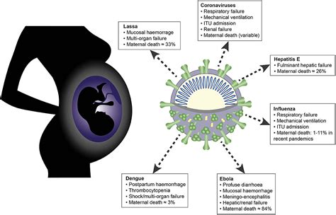 Frontiers Innate Immune Responses To Acute Viral Infection During