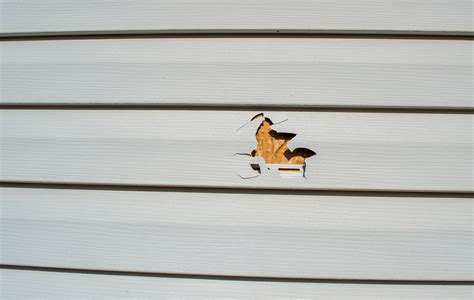 how to fix holes in siding