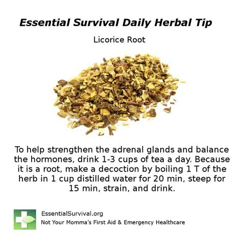 Use Licorice Root For The Adrenal Glands And Balancing Hormones