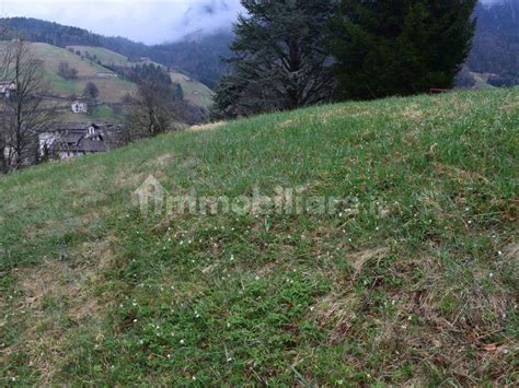 Terreno Edificabile Via Sasso Della Volpe Oltre Il Colle Rif