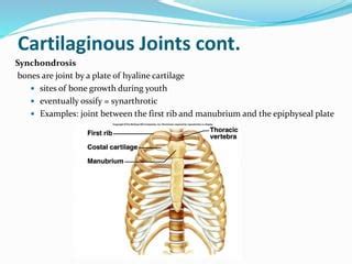 Joints in skeletal system | PPT