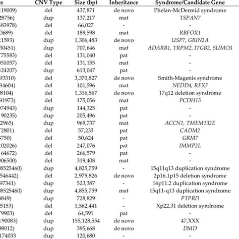 Chromosomal microarray (CMA) results in the 29 participants carrying at ...