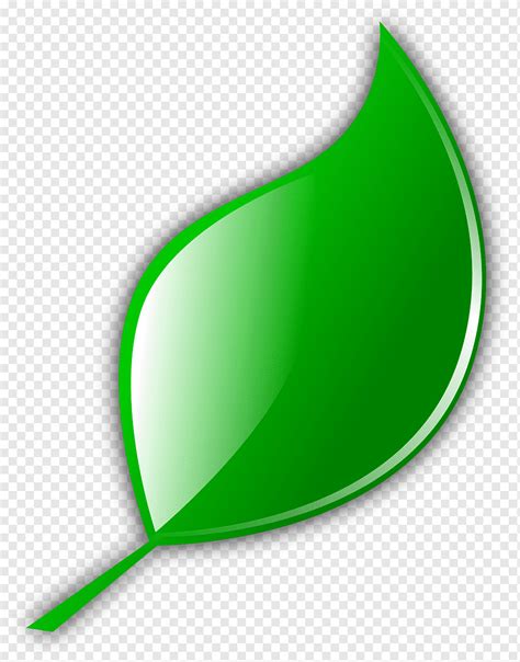 Ilustrasi Daun Hijau Teh Hijau Leaf Computer Icons Leaf Leave Icon