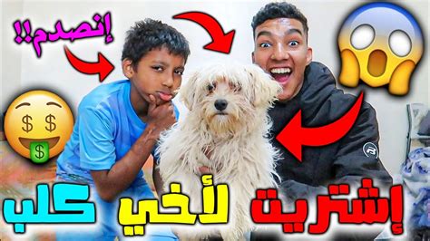 اشتريت كلب جديد لخوية الصغير شوفوا رد فعلة مقلب 🐾 Youtube