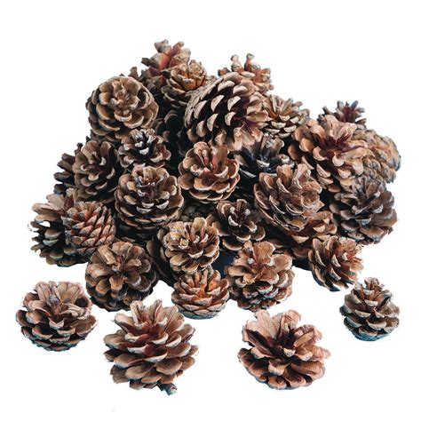 Natural Pine Cones | Michaels