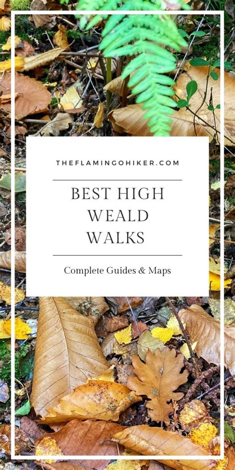 Best Walks In The High Weald - Guides & Maps - The Flamingo Hiker