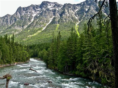 Mcdonald Creek In Glacier National Park Montana Photograph By Ruth Hager Pixels