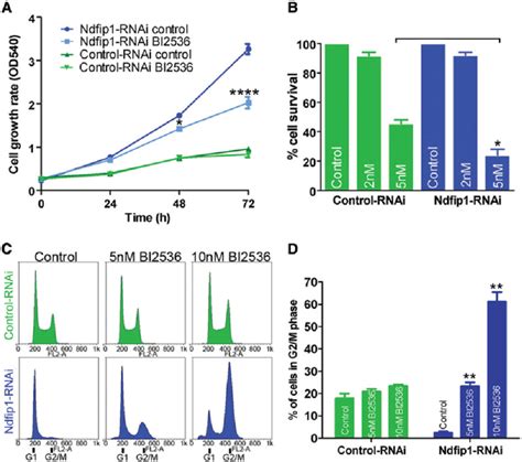 Knockdown Of Ndfip1 And Loss Of Nuclear Pten Result In Hypersensitivity