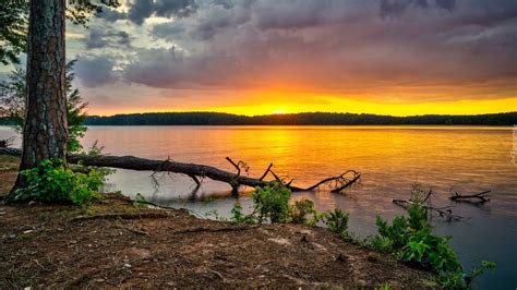 Brzeg Jeziora West Point Lake W Parku Glass Bridge Recreation Area W