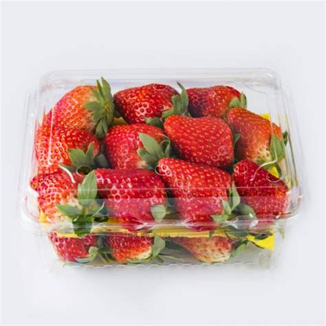 Disposable 500g Pet Strawberry Plastic Container Fruits Packaging