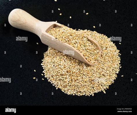 Top View Of Unhulled Foxtail Millet Seeds In Wood Spoon