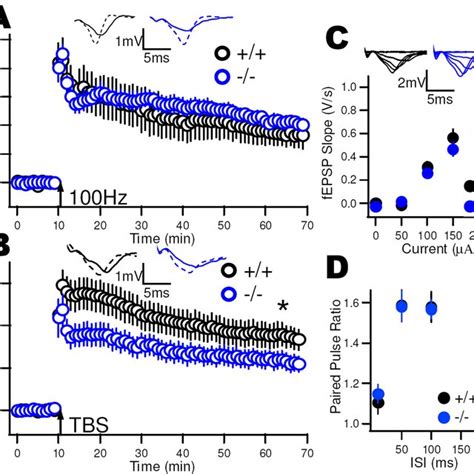 L-type Ca2+ channel-dependent LTP is selectively abolished in 12-LO ... 