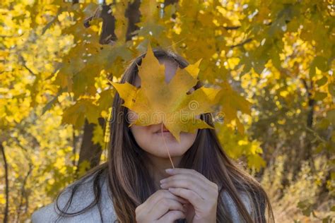 Girl Holding Autumn Orange Maple Leaf On The Background Colorful Autumn