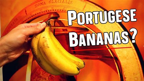 Bananas Grow In Portugal Madeiran Bananas Weird Fruit Explorer