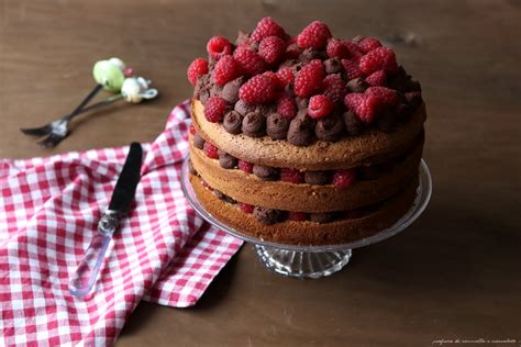 Naked Cake Con Crema Al Cioccolato E Lamponi Profumo Di Cannella E