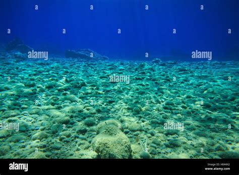Real clear water Stock Photo - Alamy