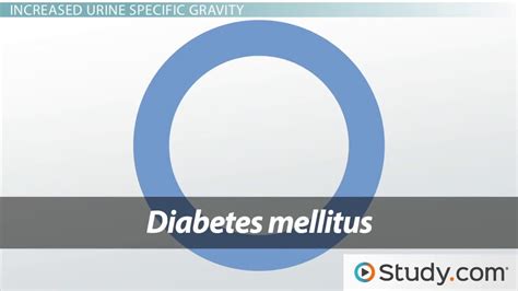 Urine Specific Gravity: Normal Range, Fluctuations, and Causes - Video & Lesson Transcript ...