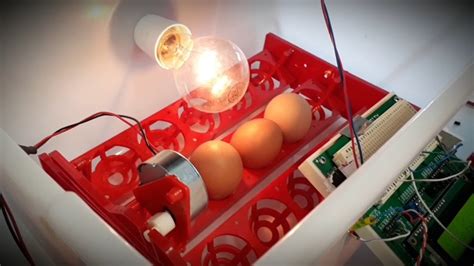 Designing Of Automated Egg Incubator Using PIC 18F4321 Microcontroller