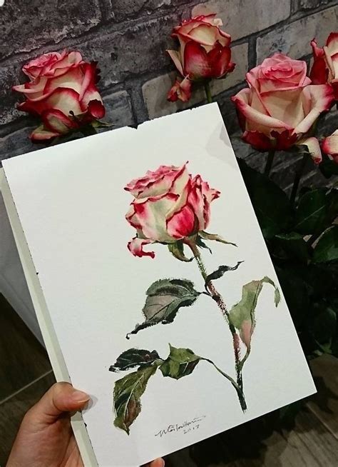 Pin by talina on سكتش رسم in 2024 Watercolor art lessons