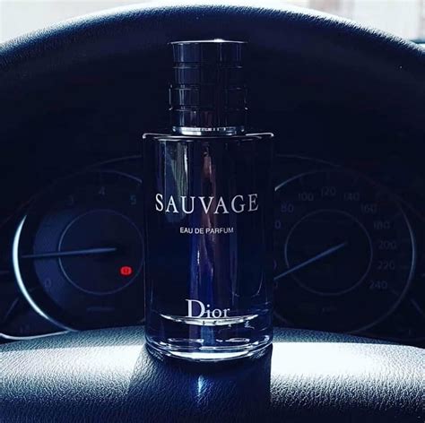 Модні чоловічі парфуми для весни топ 20 варіантів - ZACHISKA