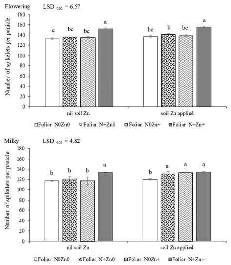 Agronomy Free Full Text Efficacy Of Nitrogen And Zinc Application At Different Growth Stages