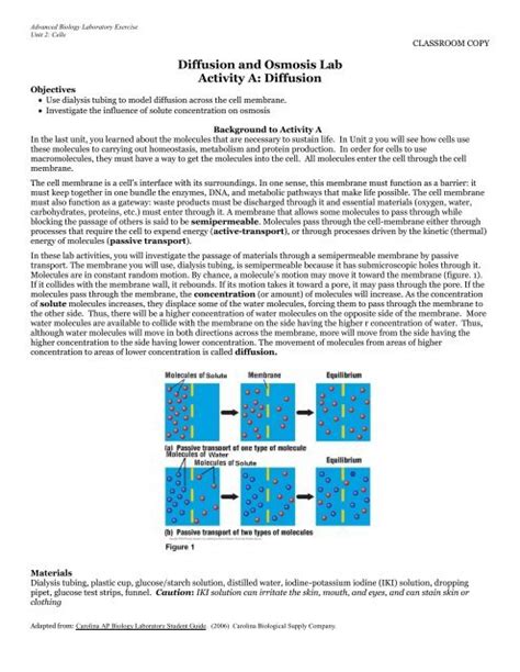 Diffusion and Osmosis