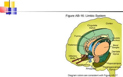 lecture08-01 - Стр 2