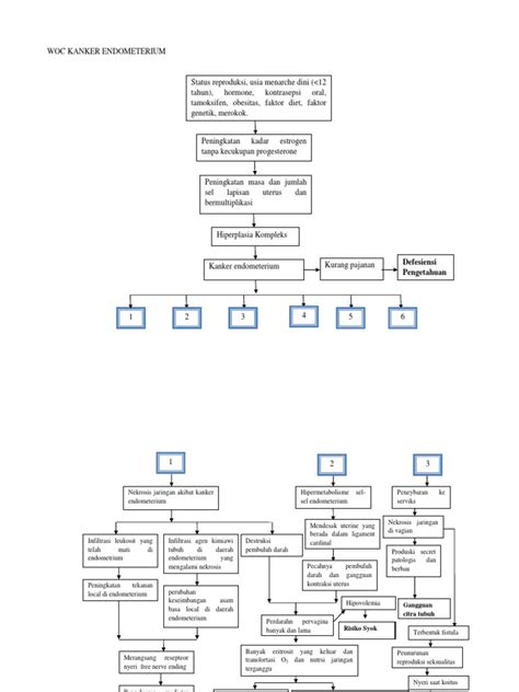 Woc Kanker Endometerium Pdf