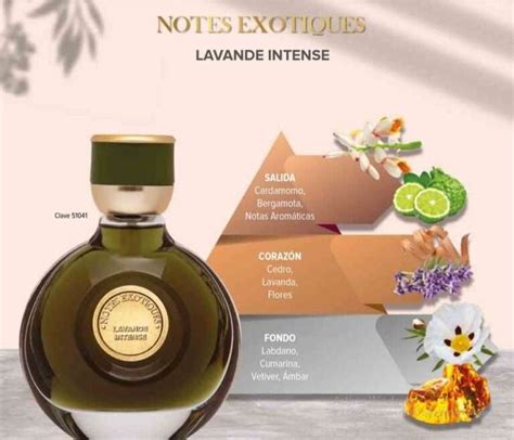 Perfume Lavande Intense Para Caballero Terramar Terramar