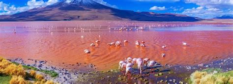 Exploring Bolivia's Laguna Colorada - Ruta Verde Tours