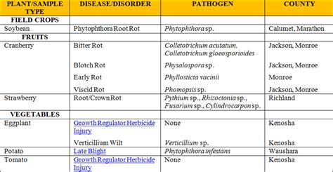 Uw Extensionmadison Plant Disease Diagnostic Clinic Pddc Update