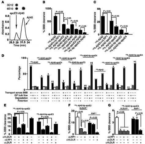 apoE isoforms disrupt A β clearance across the mouse BBB in vivo ...