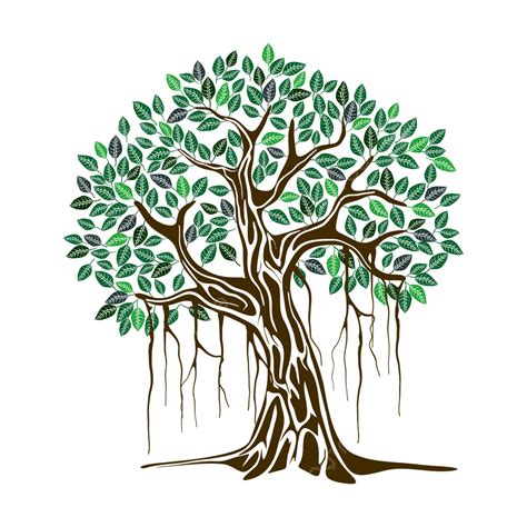 Banyan Tree Vector Png Images Banyan Tree Illustration Banyan Tree ...