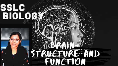 Sslc Biology Chapter 1 Brain Structure Andfunction Youtube