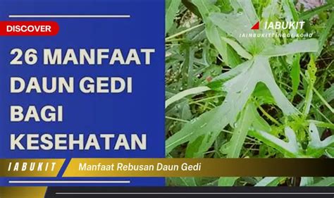 Bukan Cuma Daun Seledri Ketahui Manfaat Daun Gedi Yang Bikin