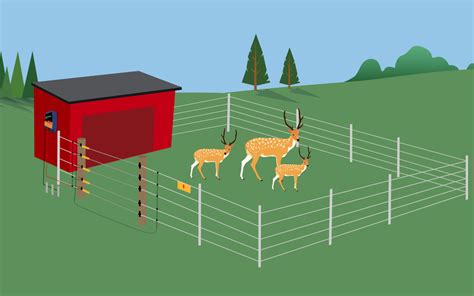 How do you install an electric fence to keep deer out?