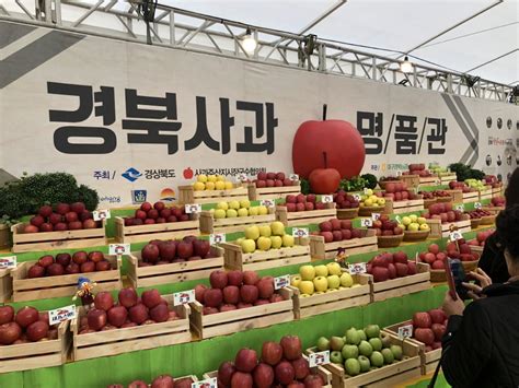 경상북도사과홍보행사 지역축제 대한민국 구석구석 축제